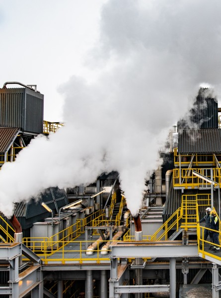 03 Foto TommyStefanussen 03 Foto TommyStefanussen